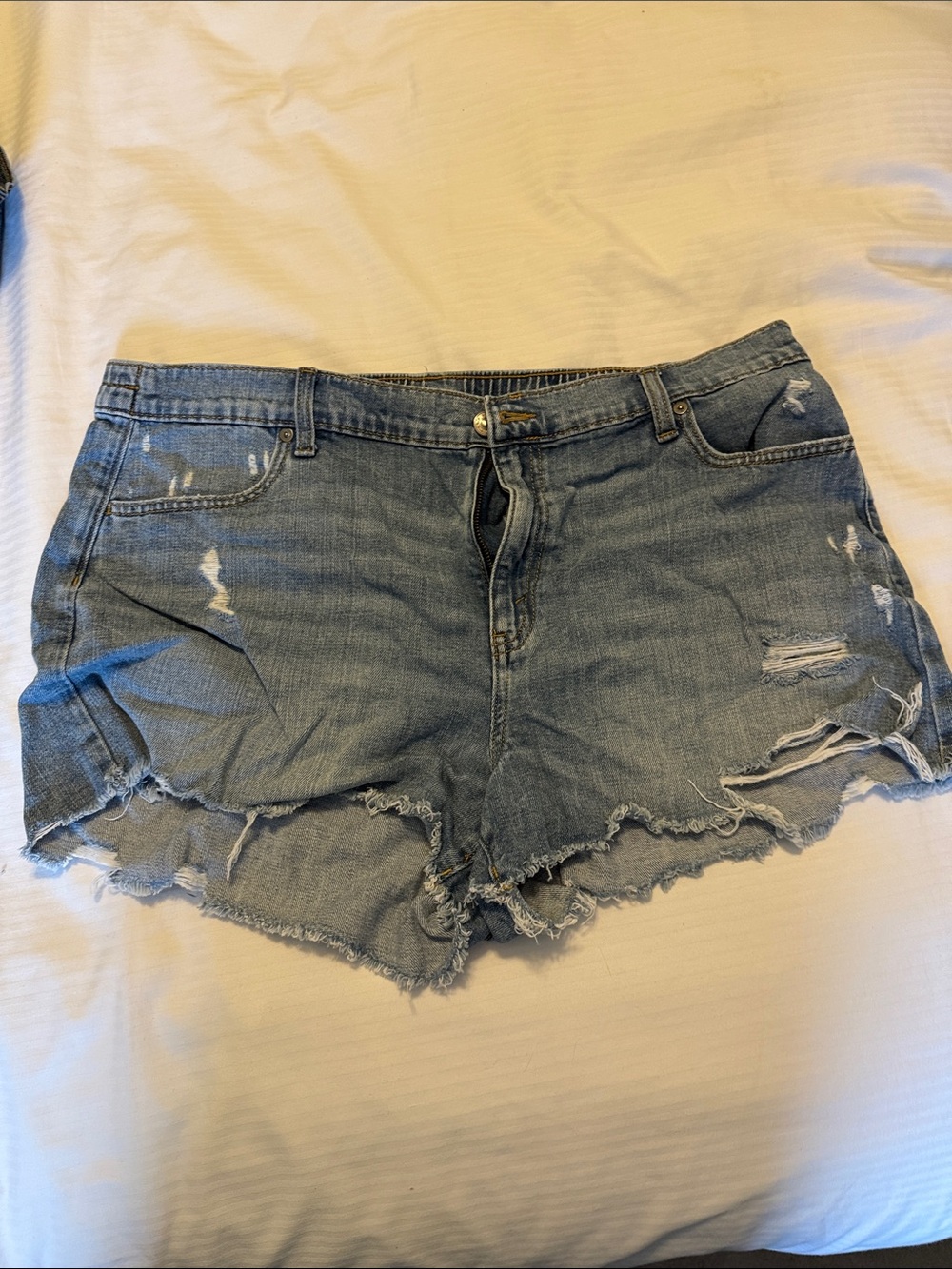 American Eagle Outfitters Light Blue Distressed Denim Cutoff Shorts